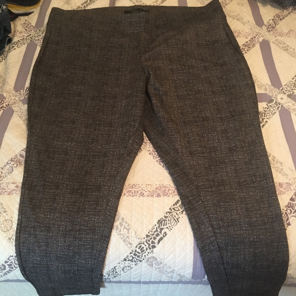 Torrid dress pants